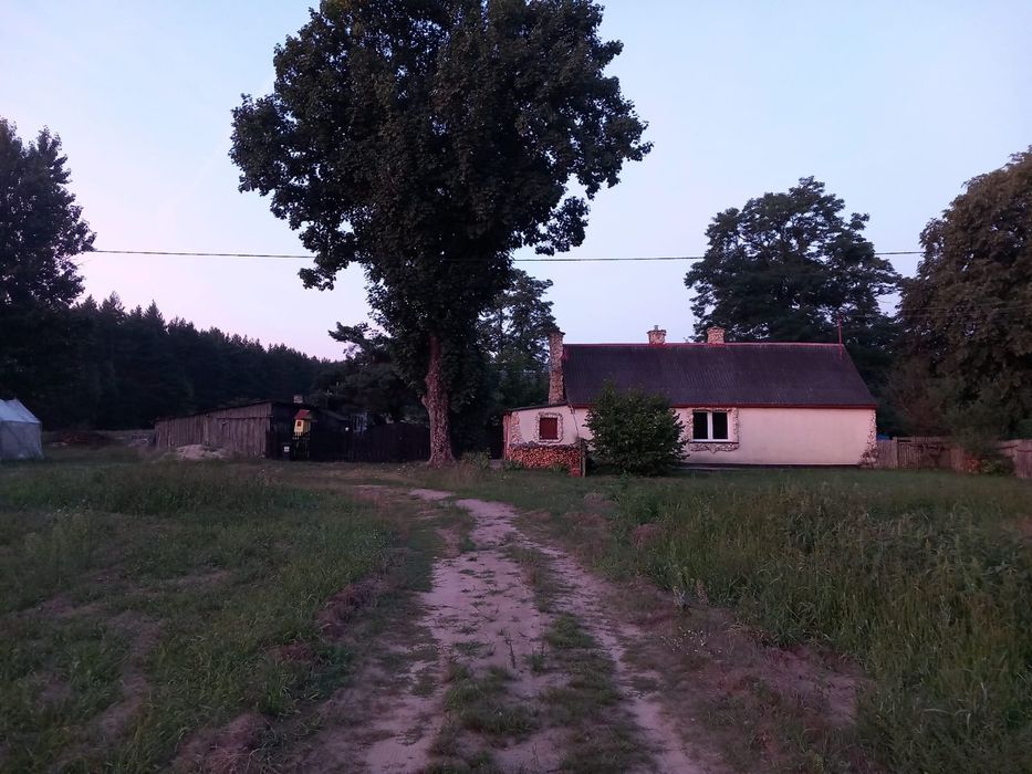 Dom działka siedlisko