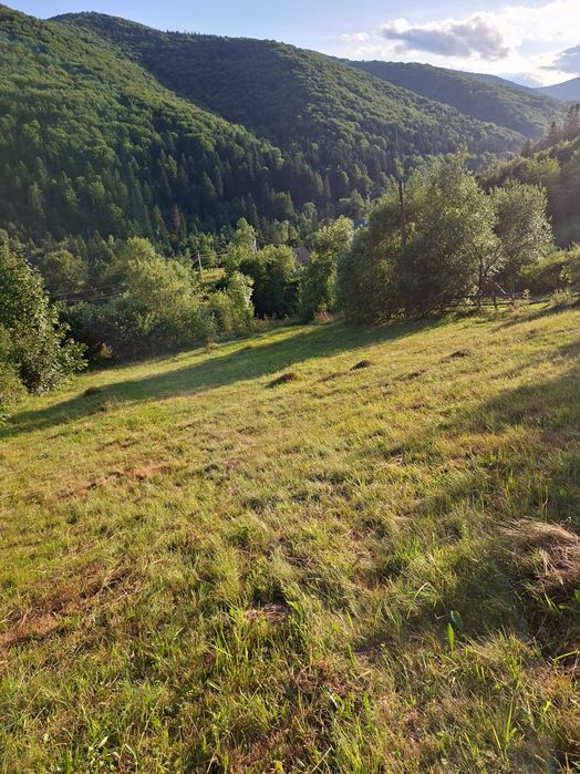 Земельна ділянка