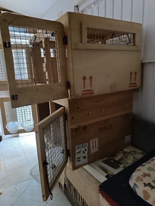 Transportadoras para cães pequenos, gatos ou outros animais pequenos.