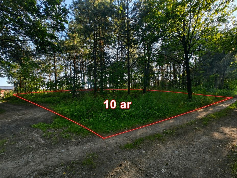 Działka 10 ar – Pogórska Wola, 10 km od Tarnowa - Widok 3
