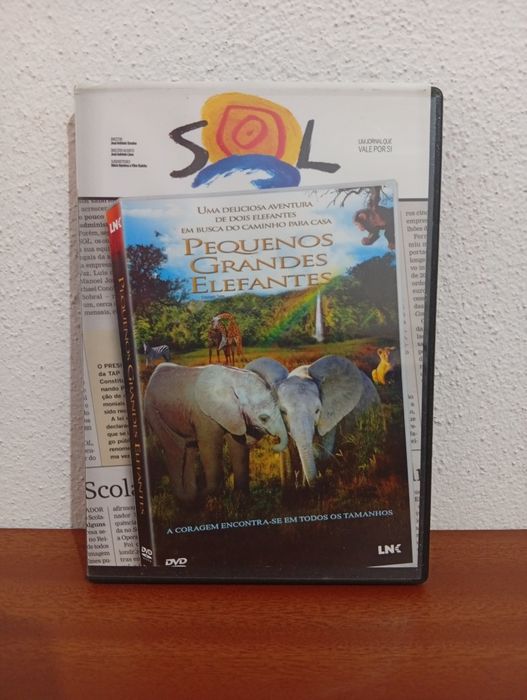 DVD Pequenos Grandes Elefantes