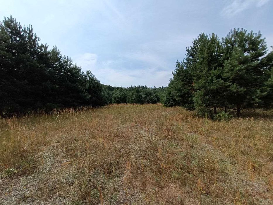 Продаж земельної ділянки під забудову