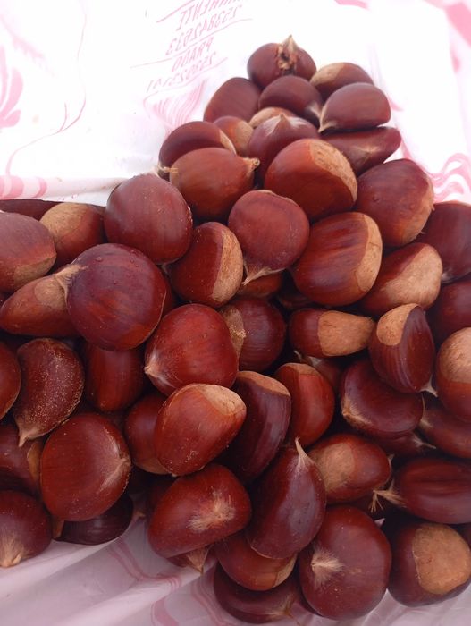 Vendo castanhas de boa qualidade