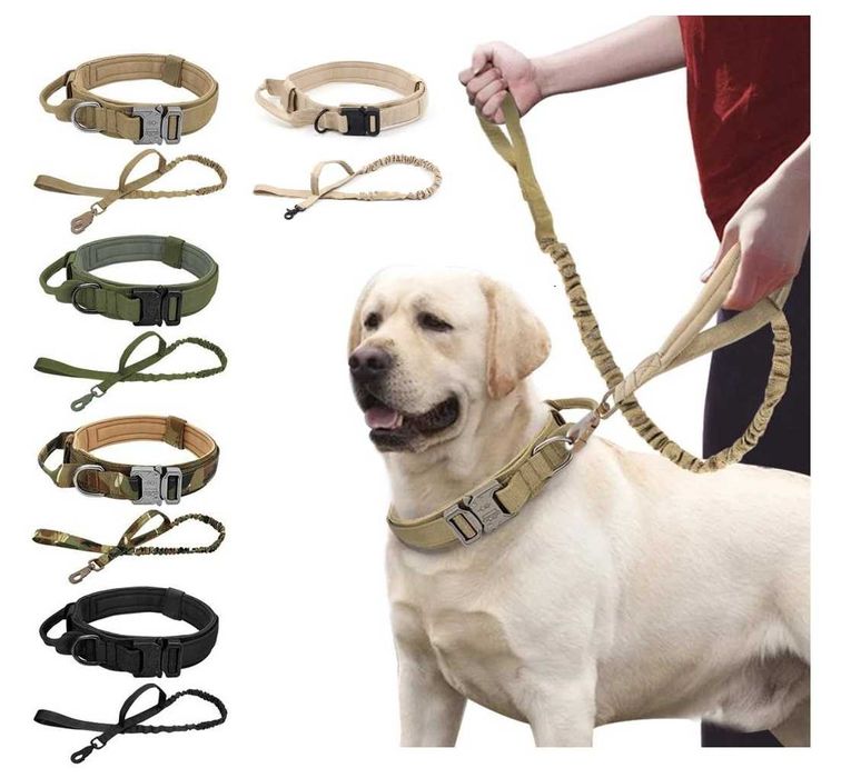 Комплект поводок і нашийник для собак з ручкою, різні розміри і кольри