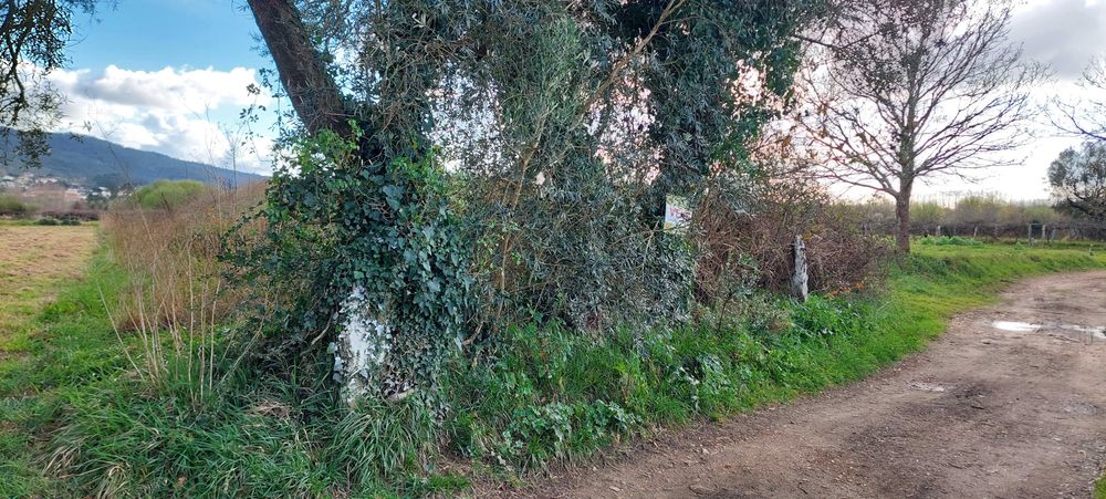 Terreno para lazer junto ao rio Lima, Subportela, Viana do Castelo