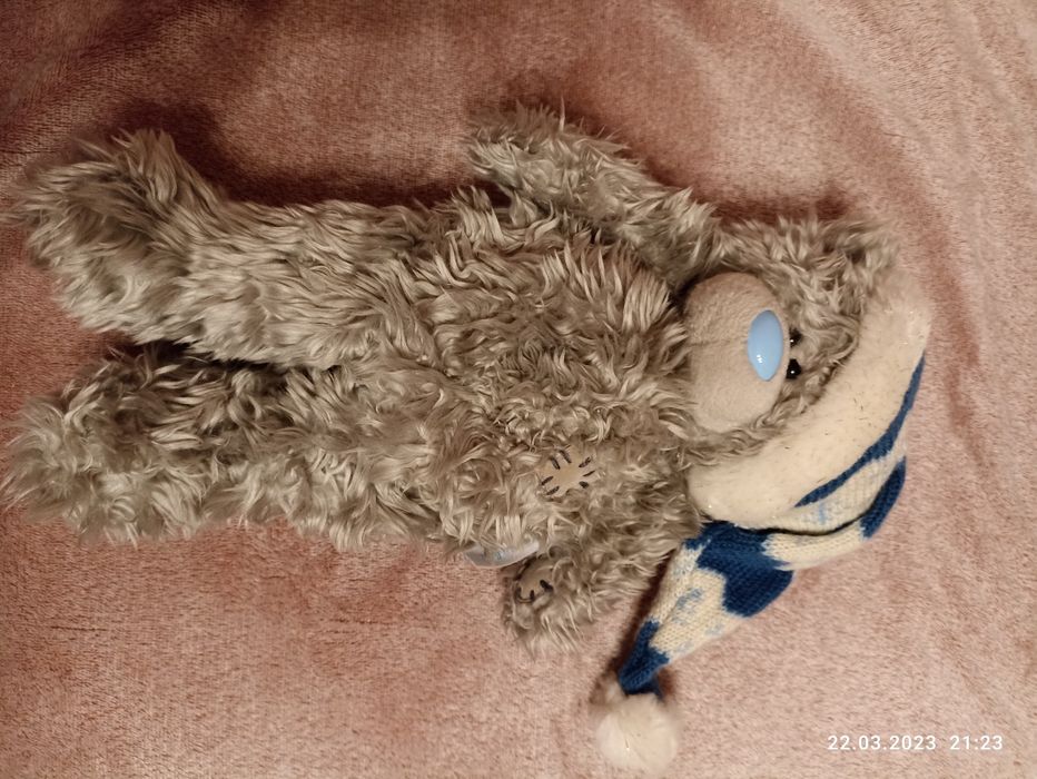 Teddy Me To You грілка