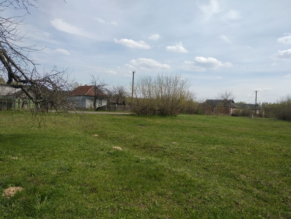 Продажа земельного участка в с.Андреевка (Вышгородский район)