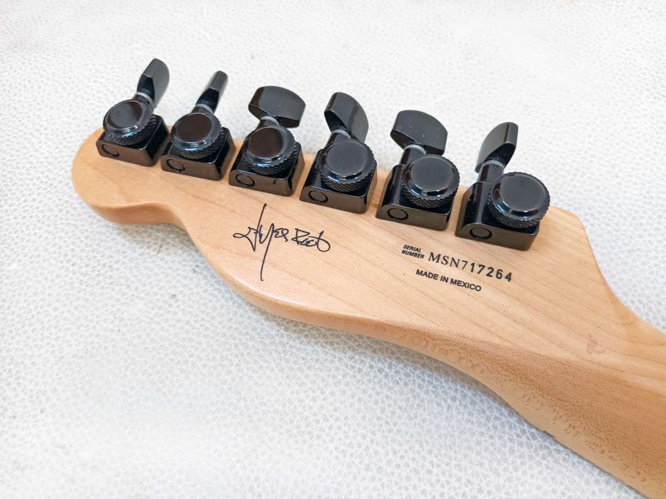 Fender Jim Root Telecaster Signature Series