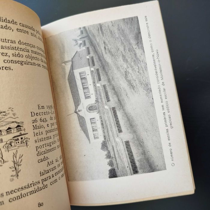 Portugal de Hoje,  Plano de Educação Popular - Noel de Arriaga