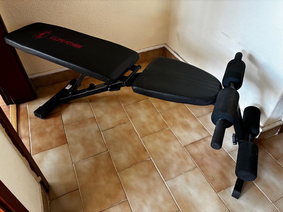 Muscle Training Bench512461783685539841