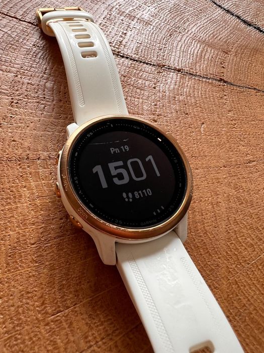 Garmin Fenix 6S Pro