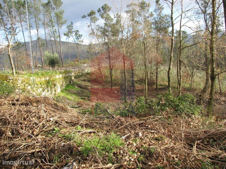 Terreno florestal, Oriz (São Miguel) — Oriz (Santa Marinha) E Oriz (São Miguel), Braga