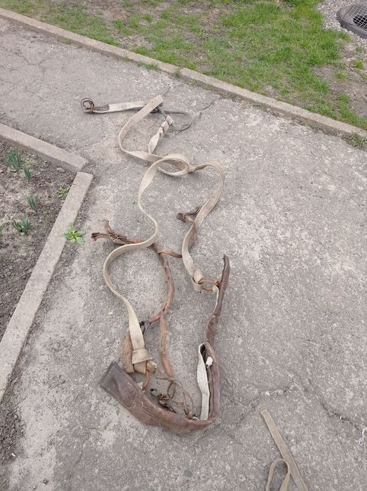 Продам хомути на коня з усім гамузом знаходиться в Полтавській області