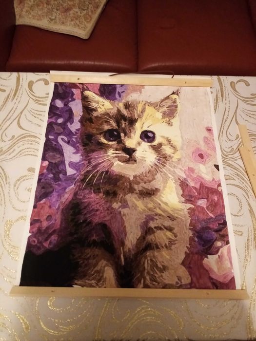obraz kota 41x53 cm