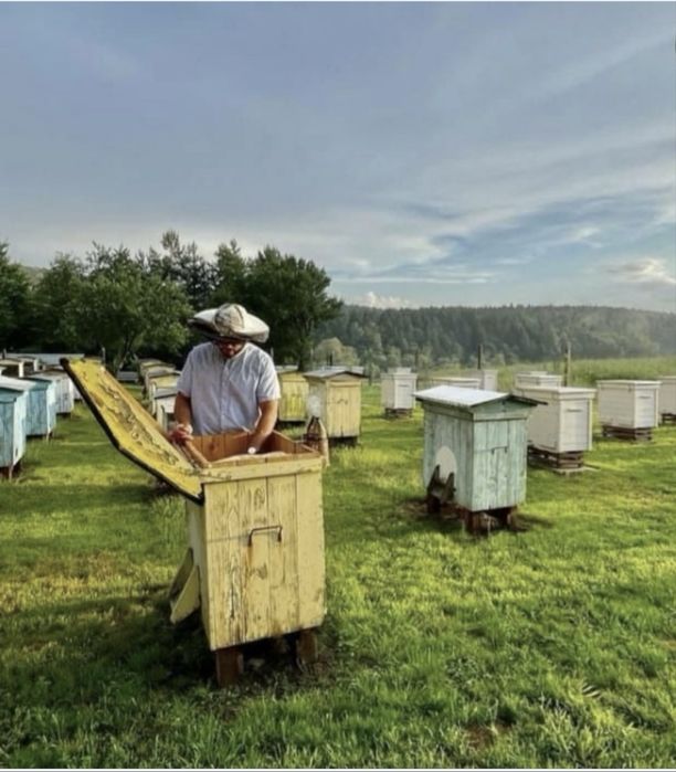Mikstura wzmacniająca odporność 4 x sloik 235 ml