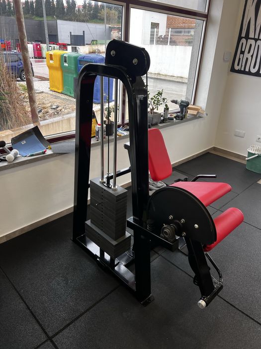 Precor icarian leg extension