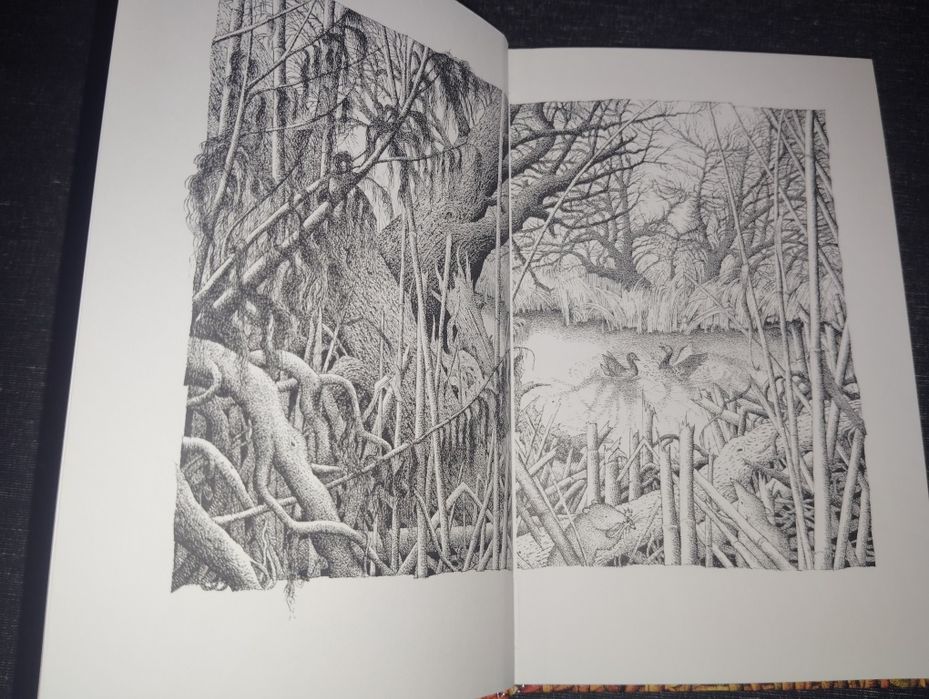 Livro A História do Pequeno Ganso Que Era Vagaroso Novo