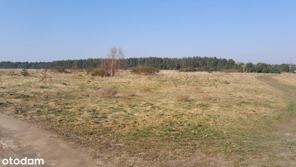 Działka budowlana Sasino, MPZP, ul. Stara Cegielnia / Na Wzgórzu - Widok 4