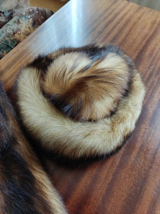 Damska czapka i szalik z tchórzofretki