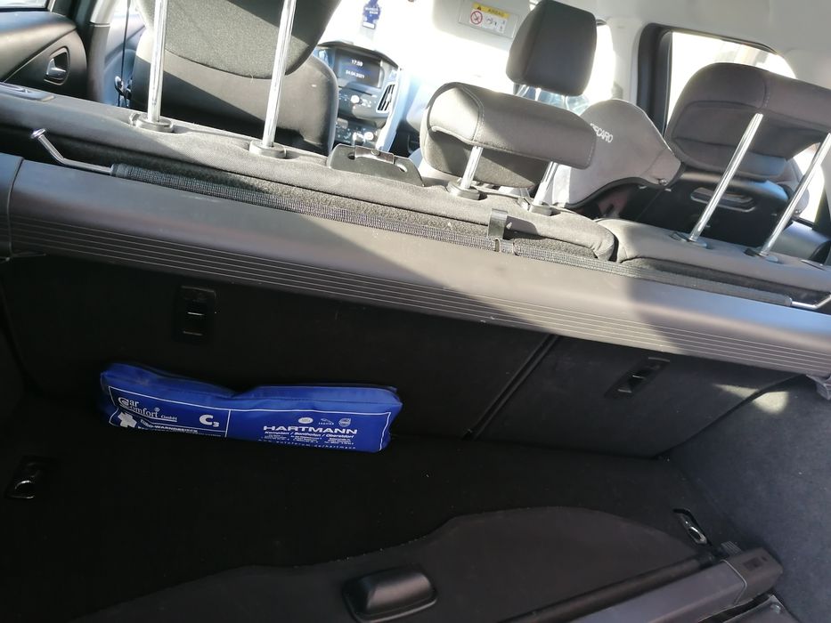 Siatka grodziowa/roleta do Forda Focusa kombi Mk3 z 2017r