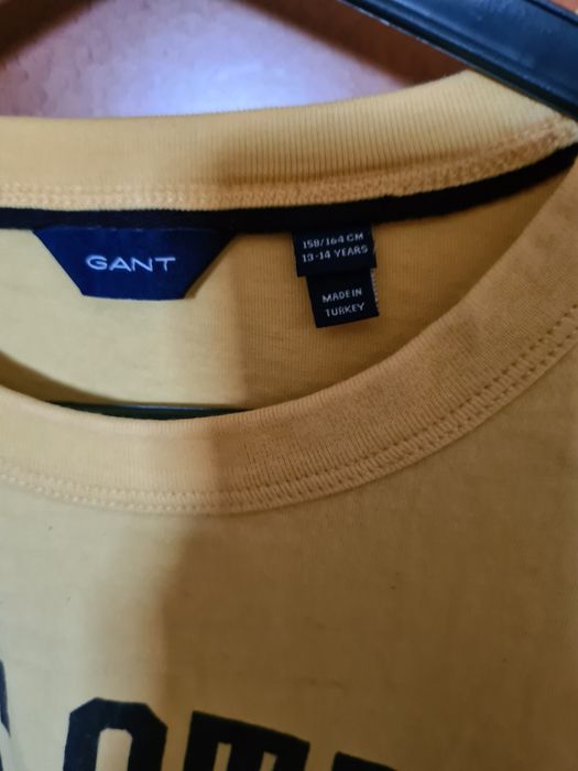T- shirt Gant 13- 14