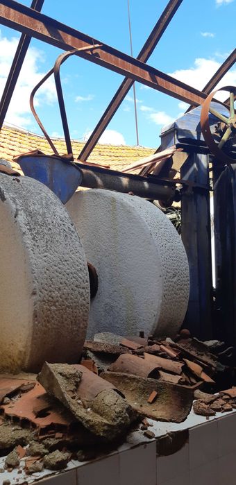 lagar antigo de prensas, capachos e moinhos de pedra