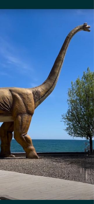 Квартира.жилье.Посуточно.пос.Котовского.Обл,Больница.Заболотного.