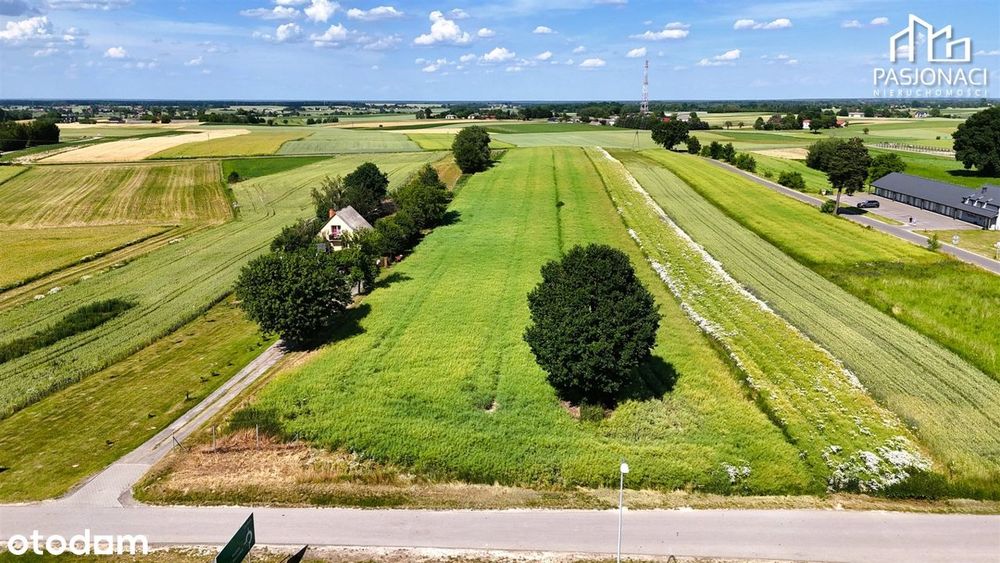 Kompleks działek usługowych Bogucin 11km od Lublina - Widok 6