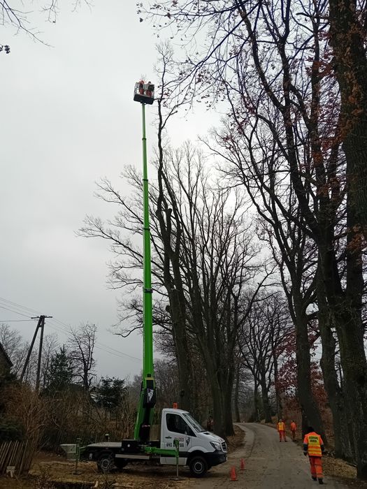 Podnosnik koszowy do wynajęcia (27 metrow)