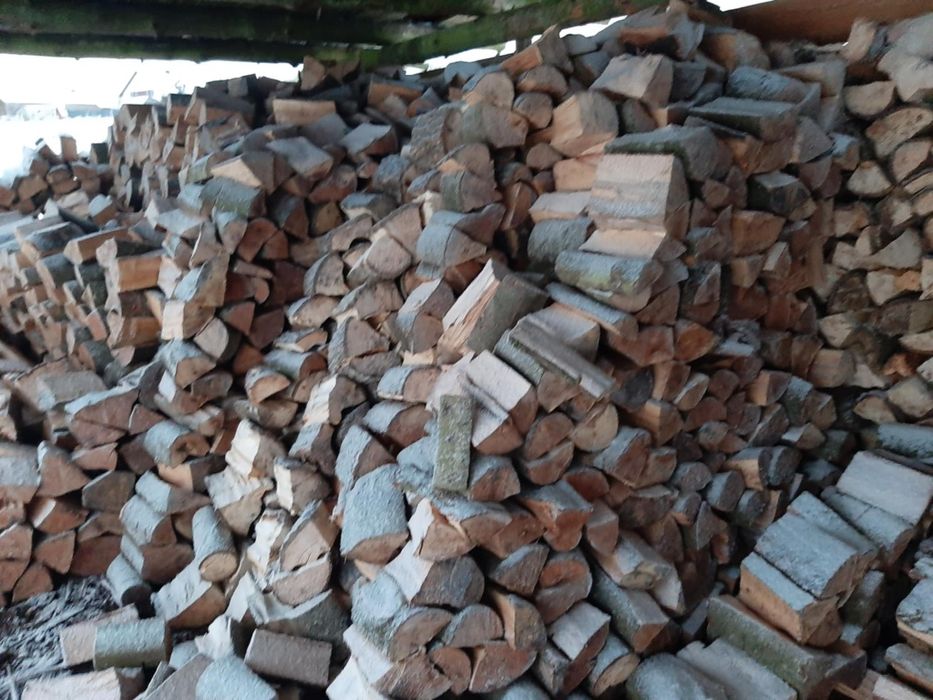 Drzewo opałowe i kominkowe