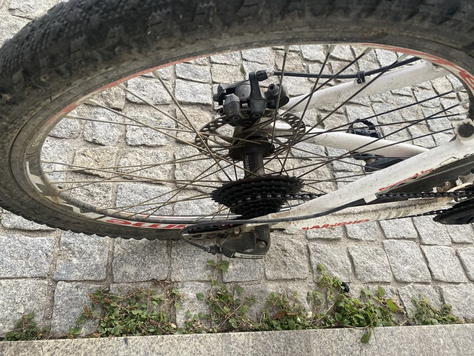 Bicicleta miwok 1032d