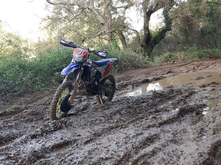 Sherco SEF 300 Factory  2017