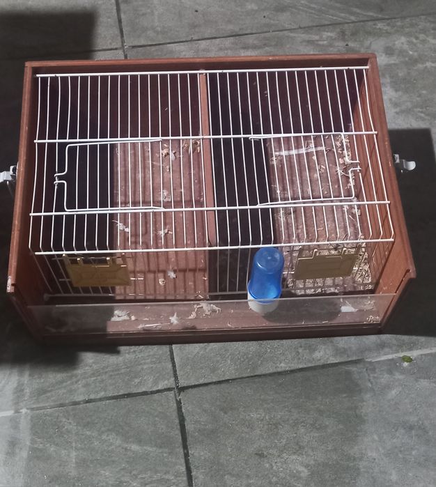 Transportadora de pássaros
