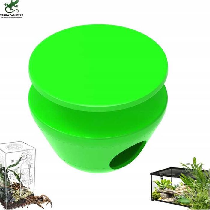 Magnetyczna kryjówka dla skakunów pająki modliszki półka TerraZaplecze