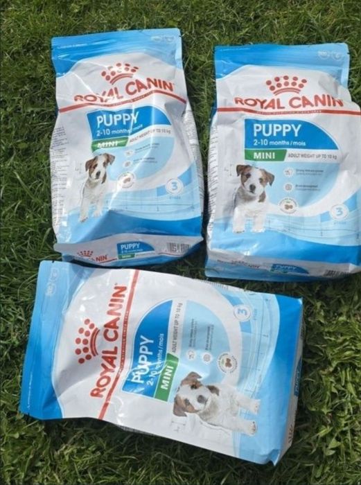 Royal canin mini puppy junior  10 kg