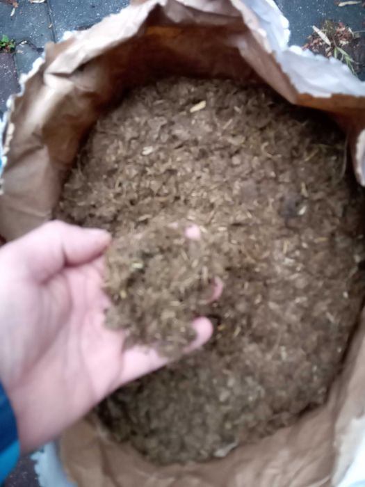 Obornik koński w workach