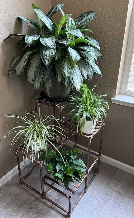 Kwietnik stojak na kwiaty drewniany narożny na 4 doniczki naturalny