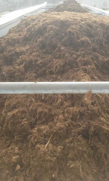 Torf kwaśny włóknianka litewski luzem