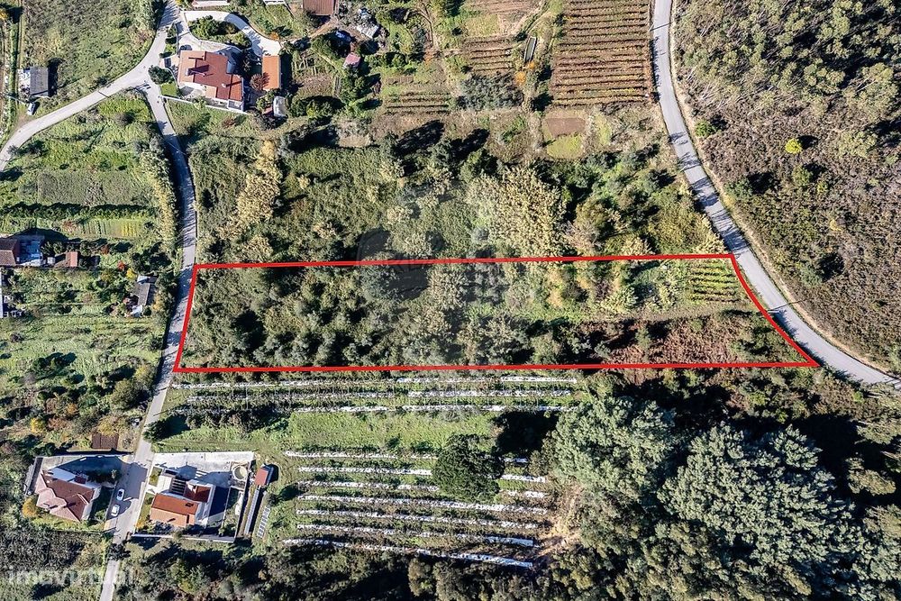 Terreno  para venda