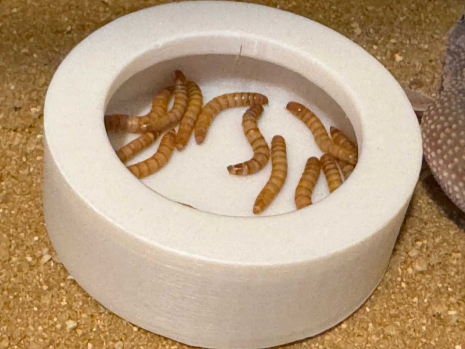 Karmnik w Terrarium Druk 3D PLA Jaszczurki Gady Pająki Ślimaki