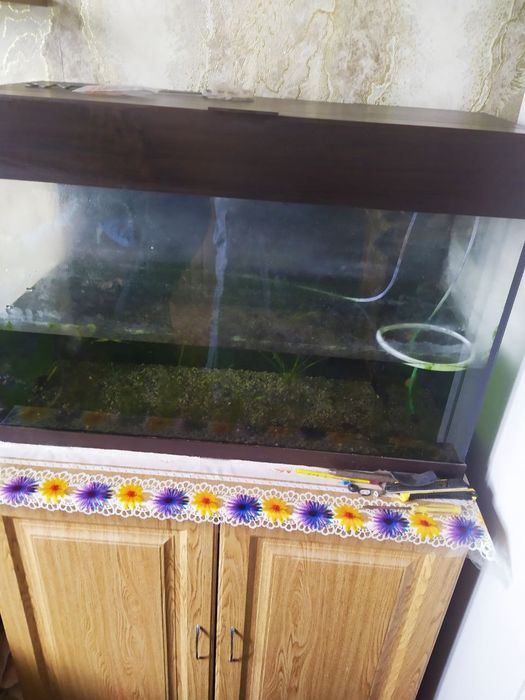 Продам акваріум на 100л