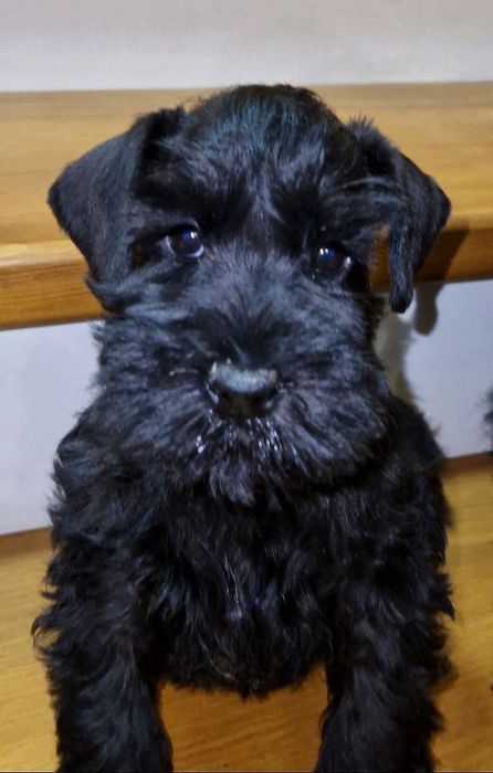 Нам три месяца..