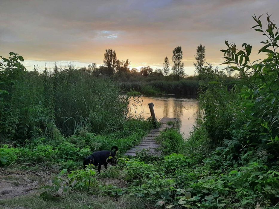 Domek nad rzeką Pilicą. Białobrzegi. Kajaki,rowery,grzyby wędkowanie. 40 min od Wawy.