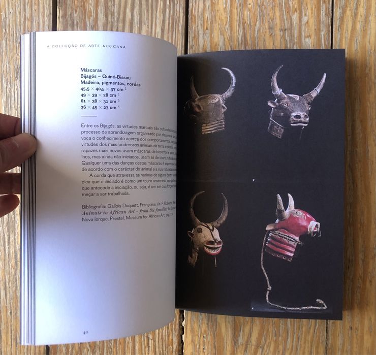 Guia da Colecção CIAJG: Para Além da História