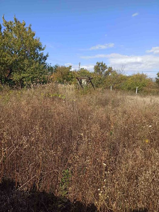 СВОЯ ділянка 22 сот с/т Держпром Мала Данилівка