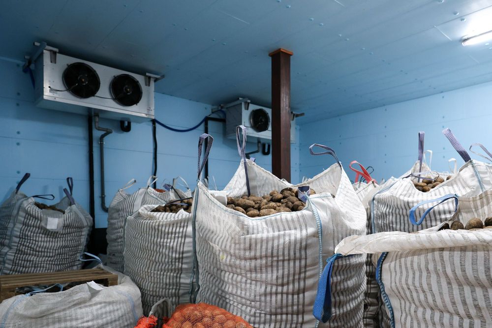 Izolacja Ocieplenie Dachu Ścian Sufitu Stropu Płyta STYRODUR XPS AGRO