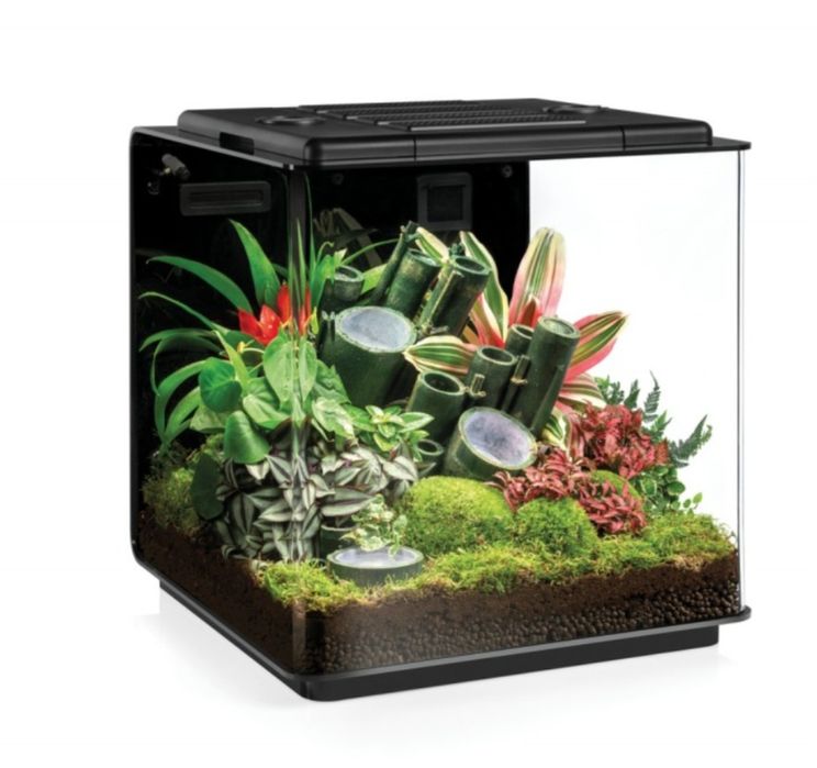 Terarium biorb erth 125