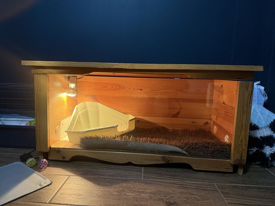 Duże terrarium dla jeża