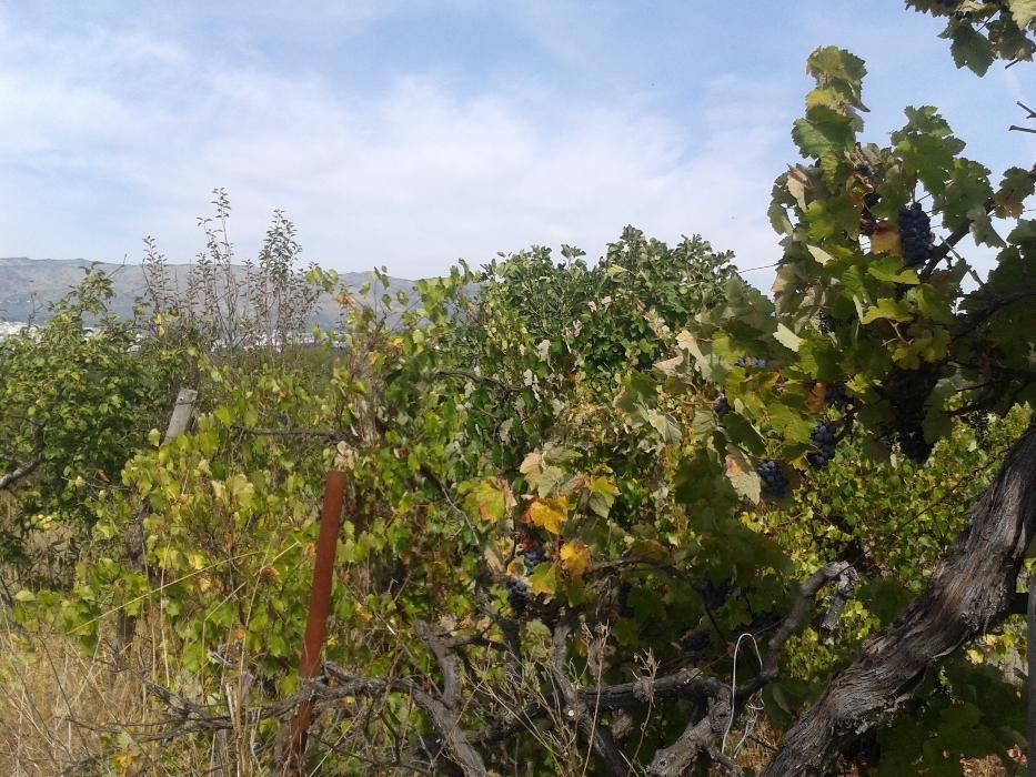 Quinta perto da Ponte Pedrinha