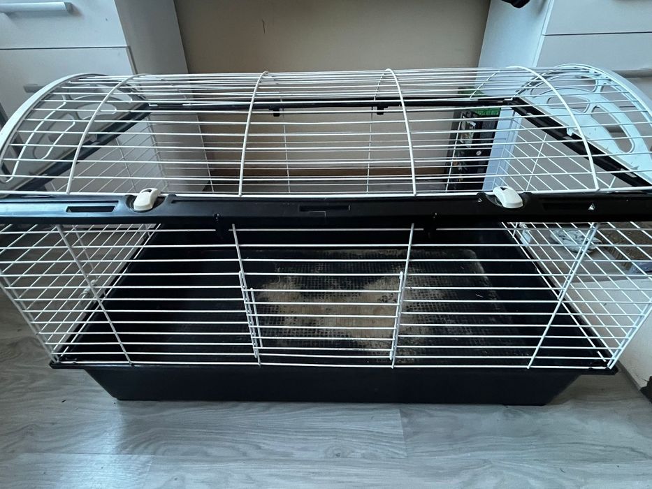 Oddam za darmo klatkę dla gryzoni